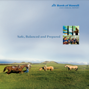 Summary Annual Report 2009
